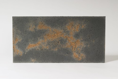 ciemny_popiel-gold-porowaty_1