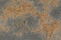 ciemny_popiel-gold-porowaty_3