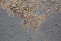 antracyt+gold1.jpg
