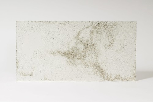 beton_architektoniczny bialy-silver-porowaty_1.jpg