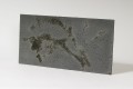 beton_architektoniczn ciemny_popiel-black-porowaty_2.jpg