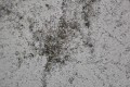 ciemny popiel+black 1.jpg