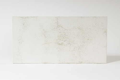 beton_architektoniczny bialy-silver-srednioporowaty_1.jpg