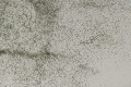 beton_architektoniczny jasny_popiel-black-srednioporowaty_3.jpg