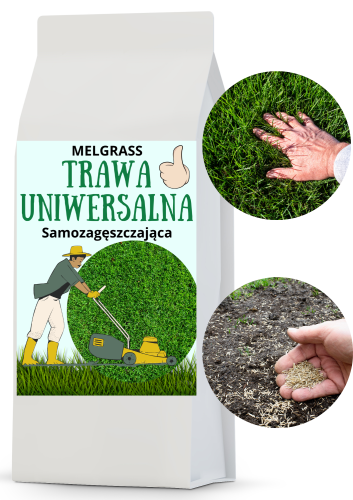 Uniwersalna 1.png