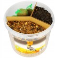 Wiaderko-z-karma-dla-ptakow-trzy-rodzaje-dla-sikorek-wrobli-dzieciolow-3kg-Kod-producenta-Zestaw-Zimowego-pokarmu-3-czesci-Turdus-3kg.jpg