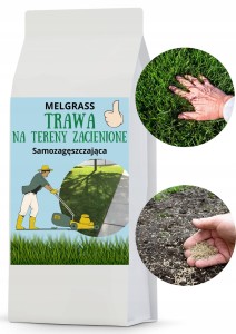 Trawa na tereny zacienione Melgrass 95kg