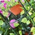 Pergola ogrodowa kolumnowa metalowa9.jpg