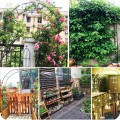 Pergola łukowa5.jpg