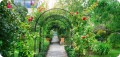 Pergola łukowa 1.jpg