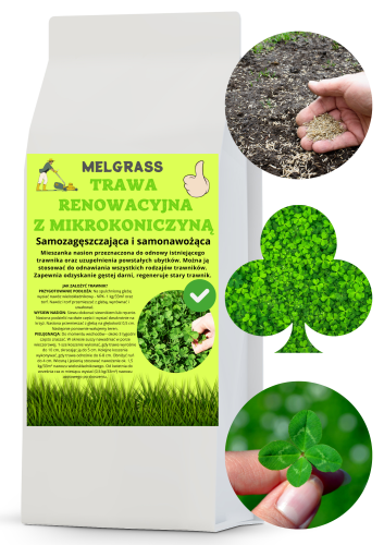 renowacja koniczyna 1.png