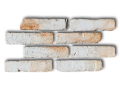 20200528_143126(0)_clipped_rev_1.png