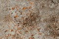 concrete-corten popiel  3